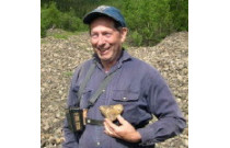 Metalldetektor for gull